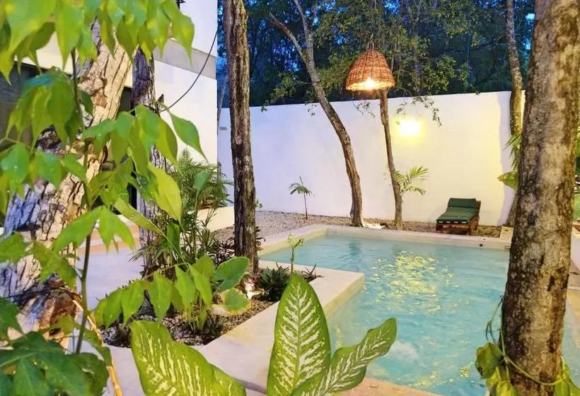 Mi Tulum