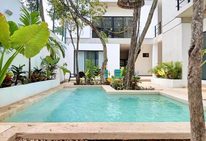 Mi Tulum