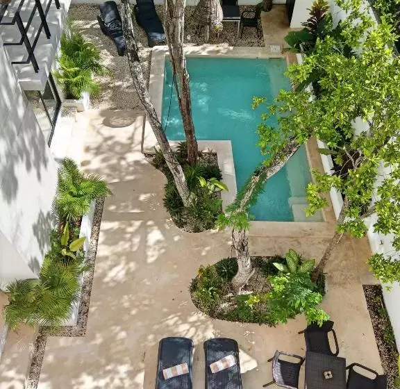 Mi Tulum