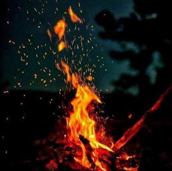 Hostel Wimba Jungle Lodge