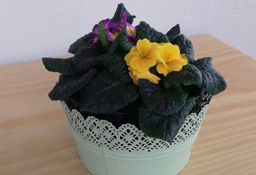 Hostel Criativo Do Sabugueiro