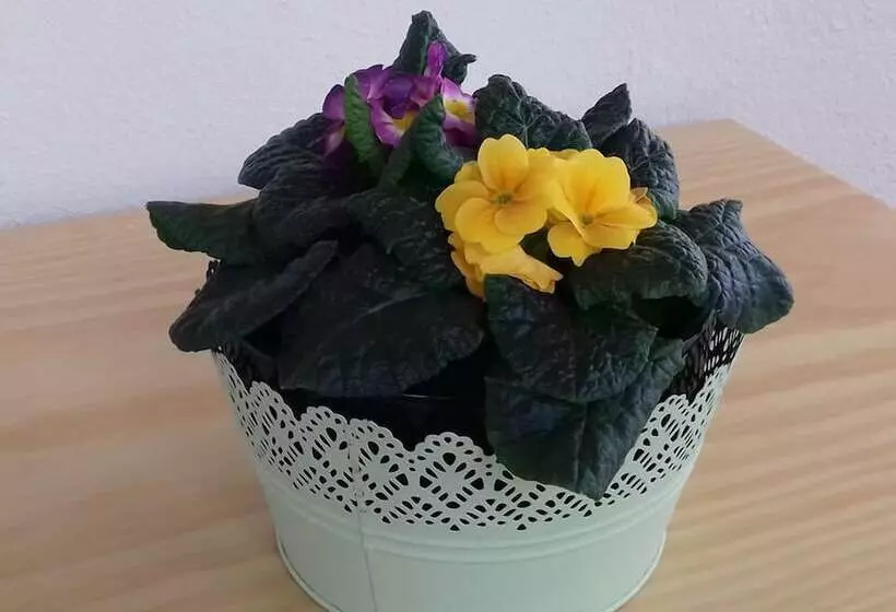 Hostel Criativo Do Sabugueiro