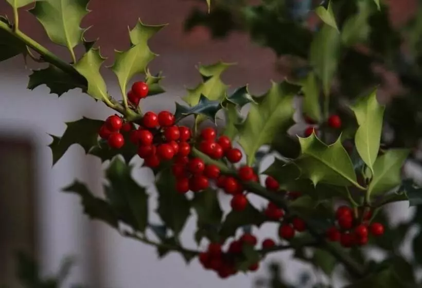 Loriga Feel Nature  Hostel