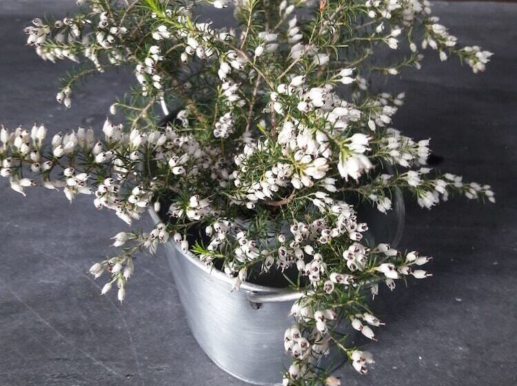 Loriga Feel Nature  Hostel