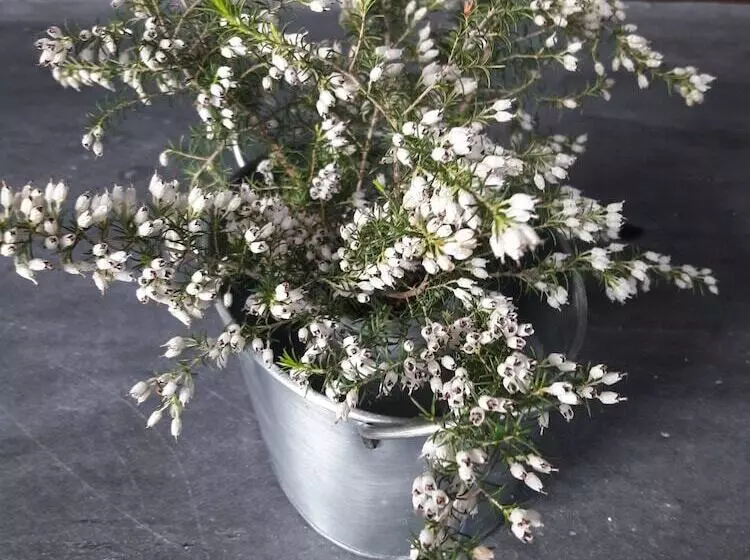 Loriga Feel Nature  Hostel