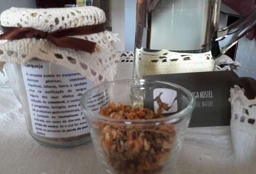 Loriga Feel Nature  Hostel