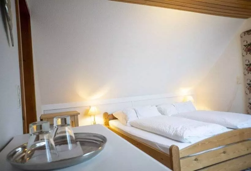 Naturion Hotel Hinterzarten