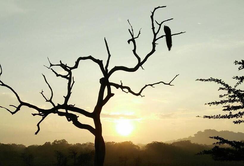 Majatalo Lake Front Yala Safari