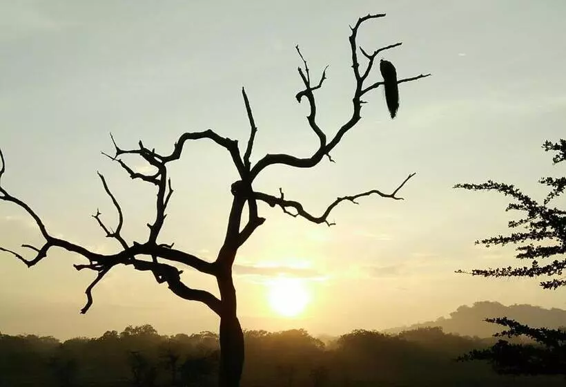 Majatalo Lake Front Yala Safari
