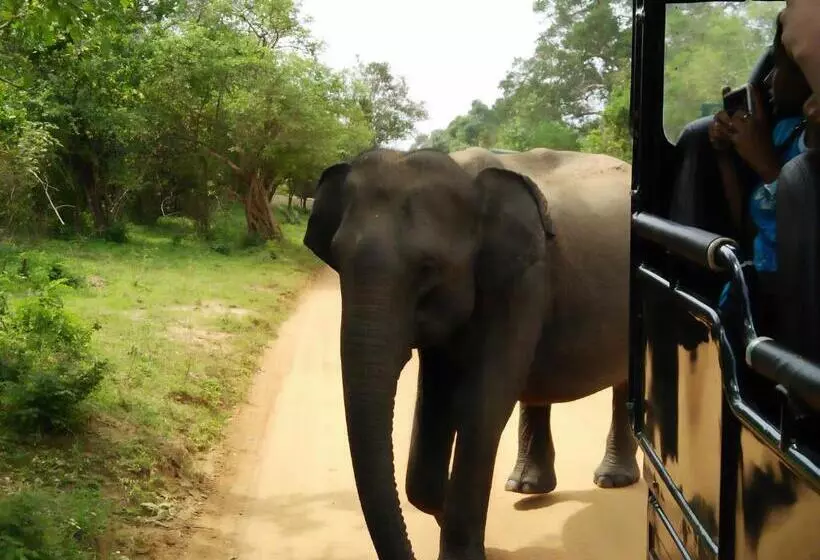Majatalo Lake Front Yala Safari