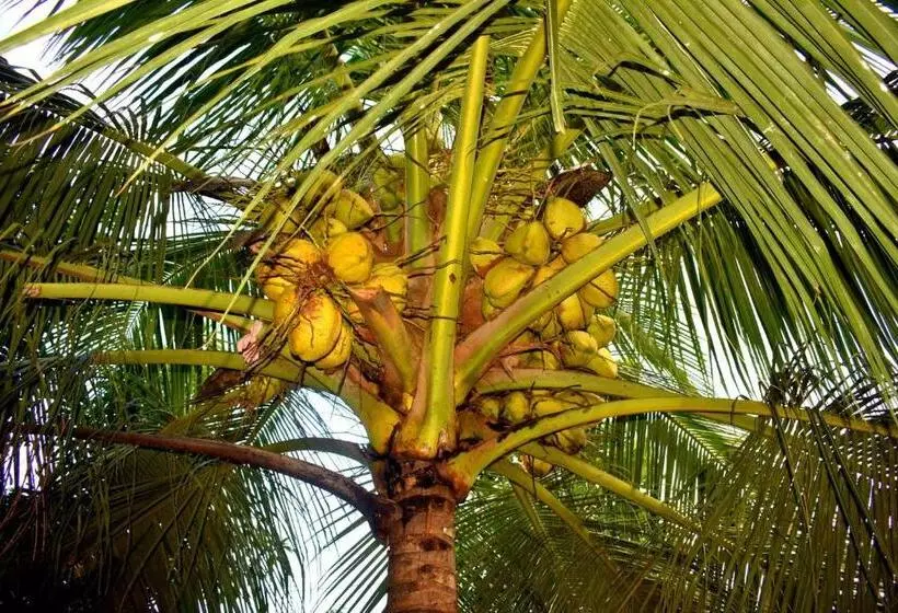 Majatalo Lake Front Yala Safari