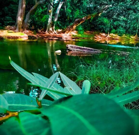 Majatalo Lake Front Yala Safari