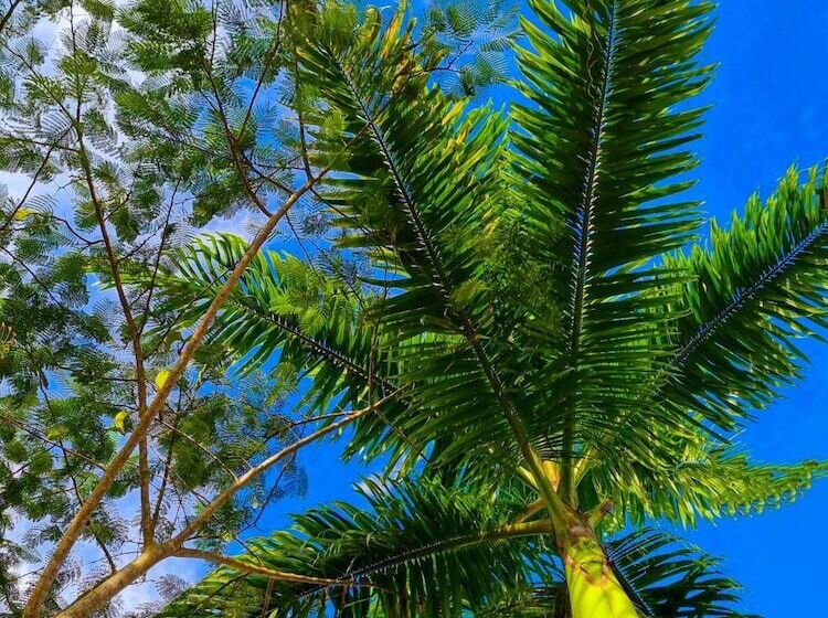 ホテル Country Club Eco Casajardin