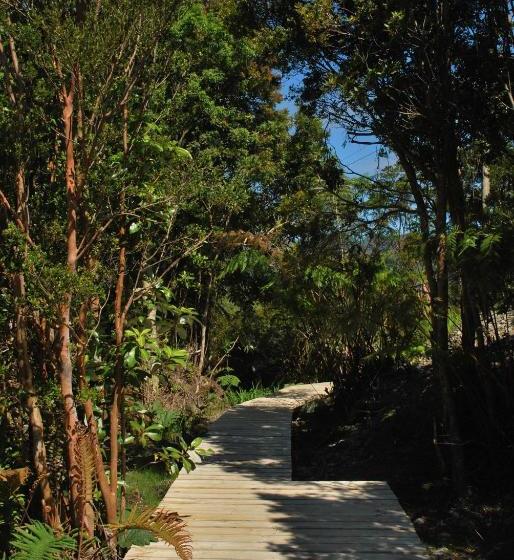 膳宿费 Chucao Bosque Y Cabañas