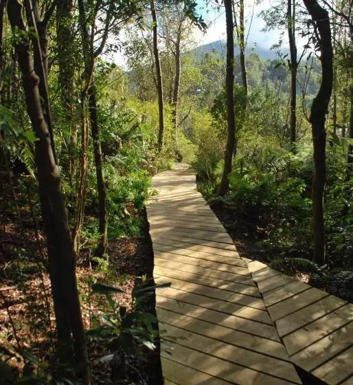 Majatalo Chucao Bosque Y Cabañas