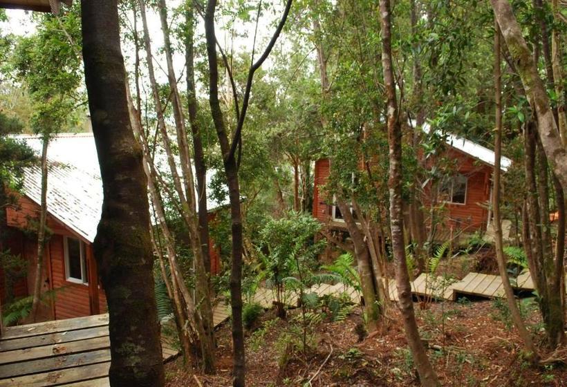 膳宿费 Chucao Bosque Y Cabañas