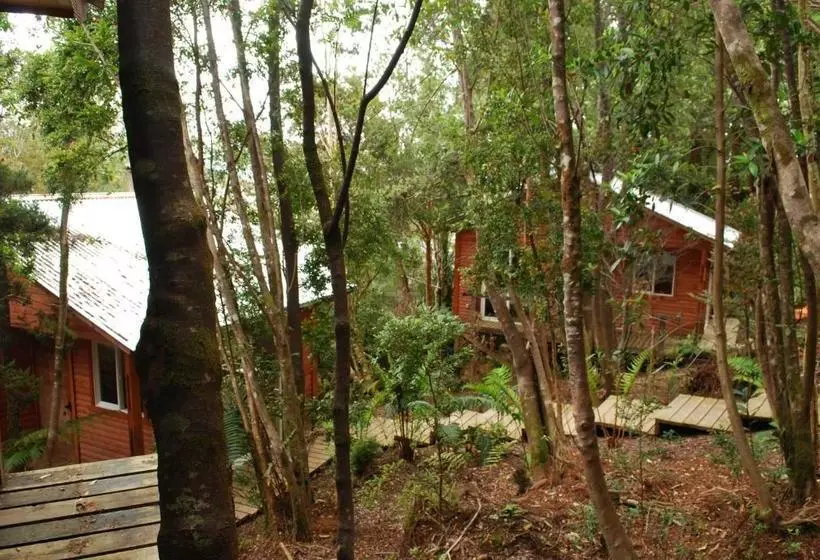 Majatalo Chucao Bosque Y Cabañas