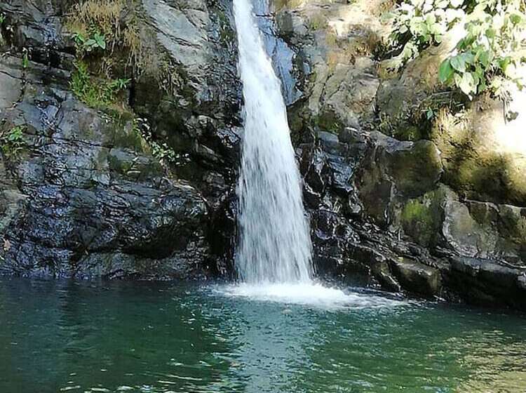 بنسيون Casa Heliconia