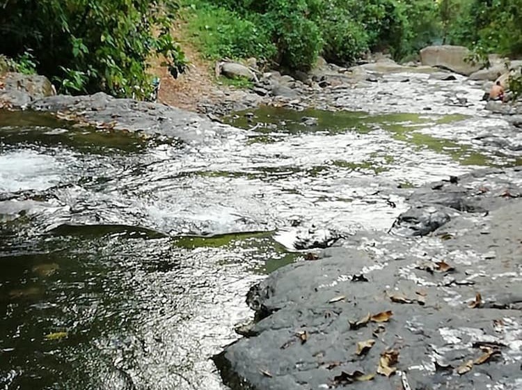 بنسيون Casa Heliconia