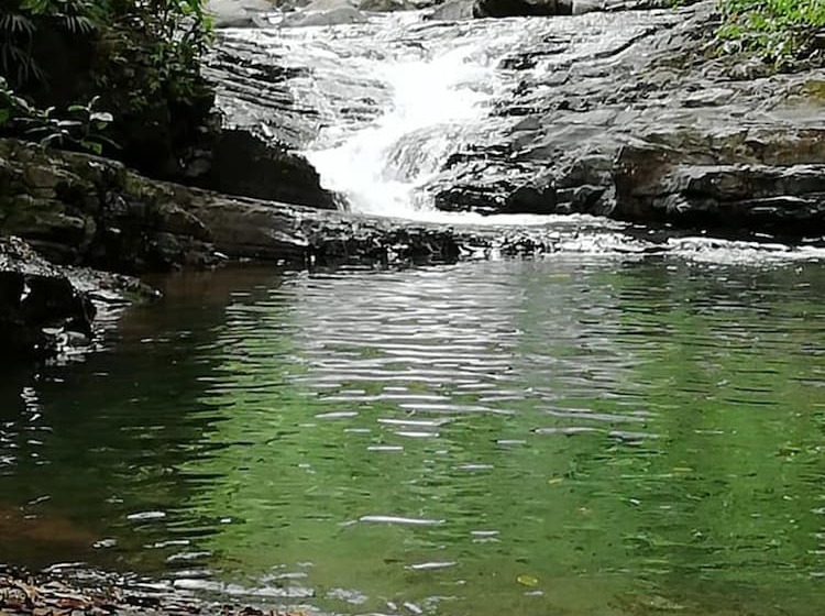 بنسيون Casa Heliconia