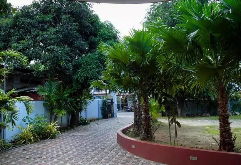 پانسیون Golden Star Guest House