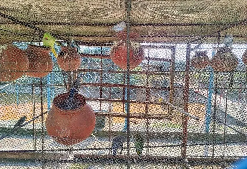 Jo Stel Hotel Sabita Inn & Park