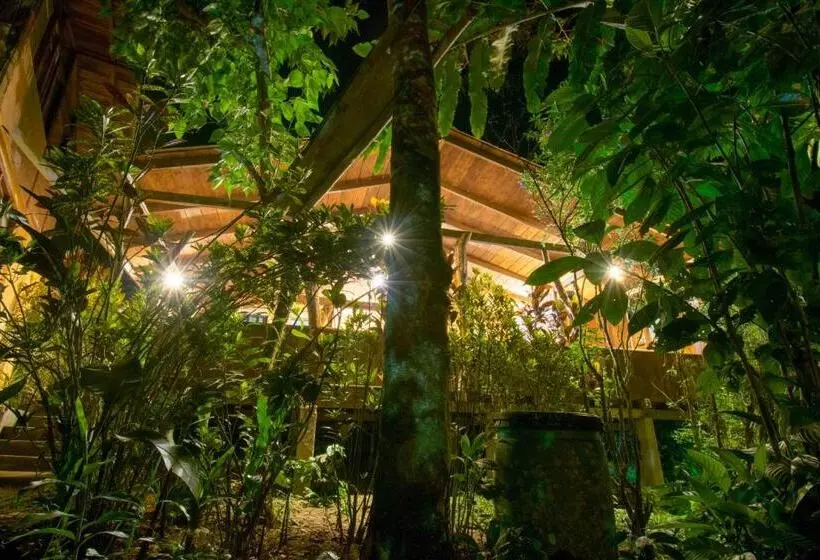 ホテル Hostería Los Cedros De Mindo