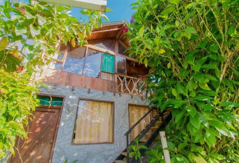 ホテル Hostería Los Cedros De Mindo