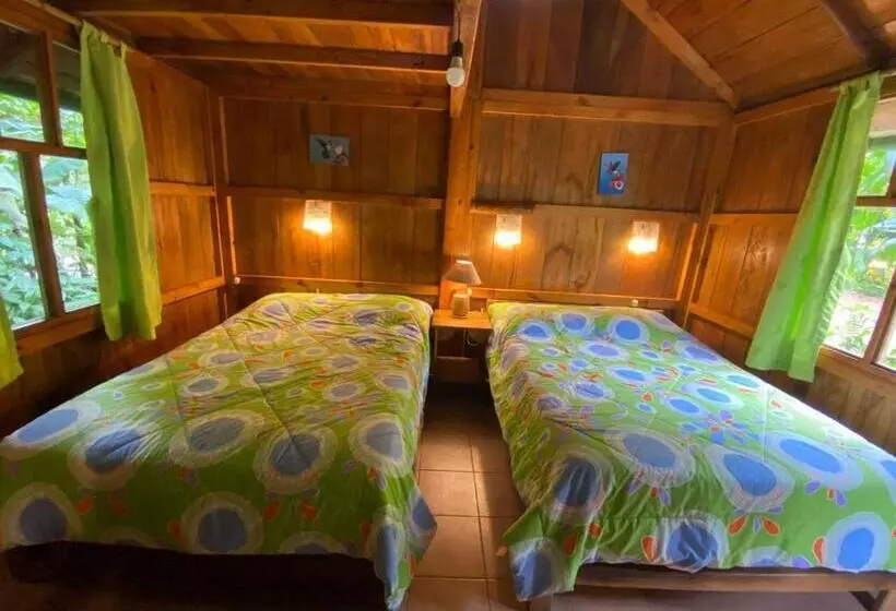 ホテル Hostería Los Cedros De Mindo