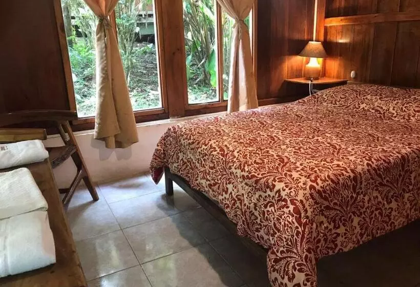 ホテル Hostería Los Cedros De Mindo