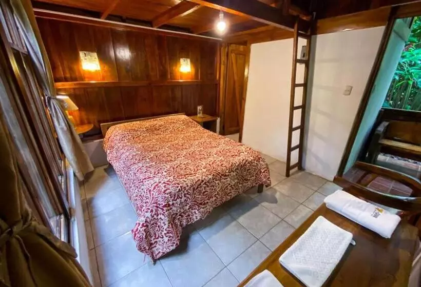 ホテル Hostería Los Cedros De Mindo