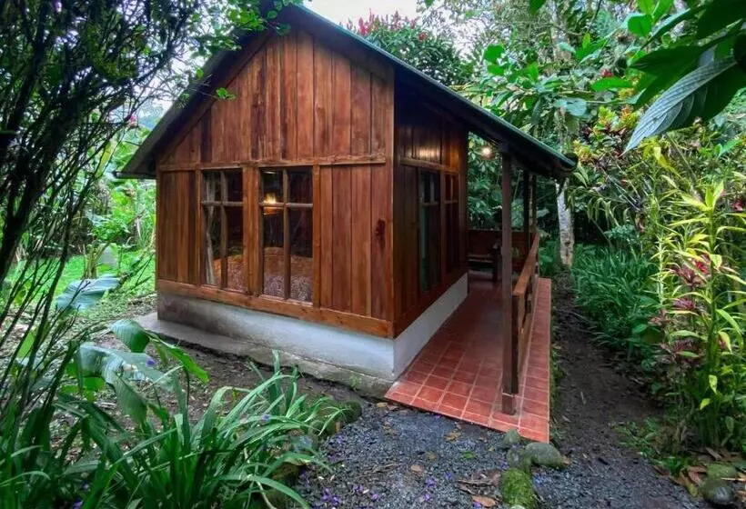 ホテル Hostería Los Cedros De Mindo