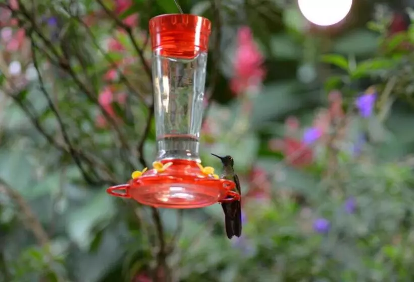 ホテル Hostería Los Cedros De Mindo