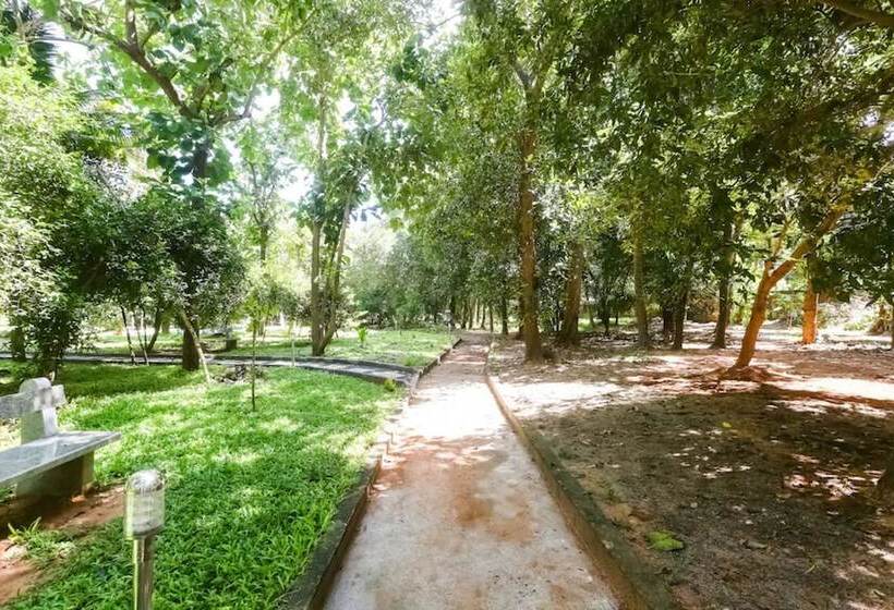 Nature Breeze Resort And Spa