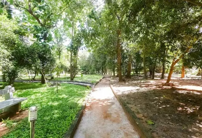 Nature Breeze Resort And Spa