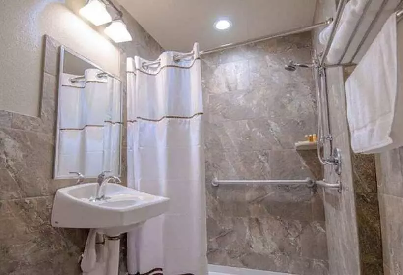 Motelli The Gator Den