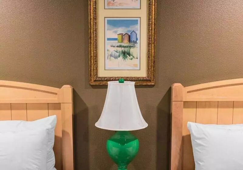 Motelli The Gator Den