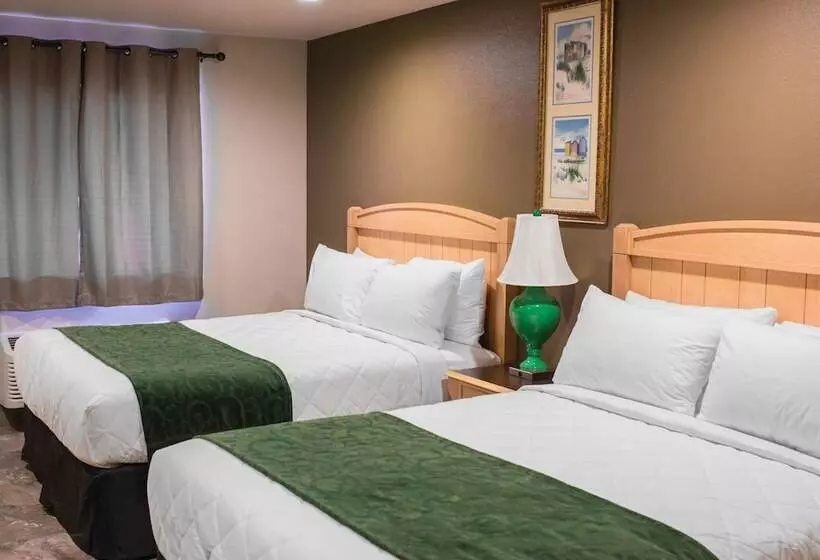 Motelli The Gator Den