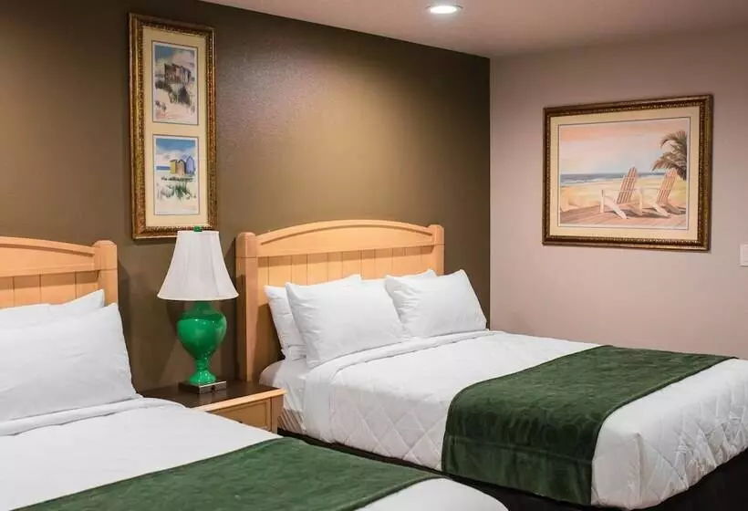 Motelli The Gator Den