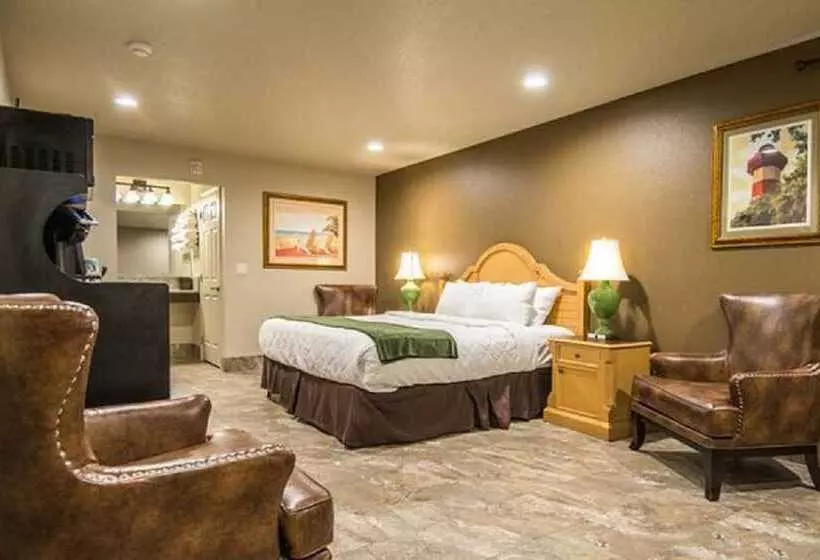 Motelli The Gator Den