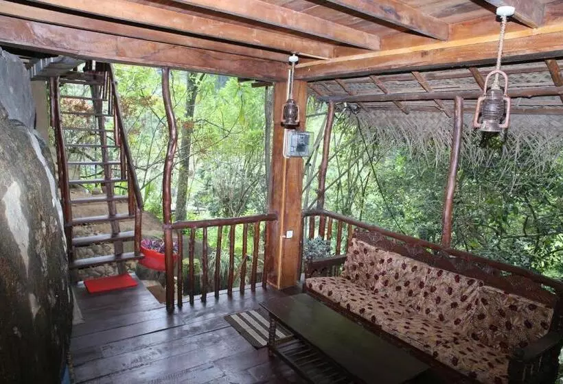 Aamiaismajoitus (B&B) Jungle Face Inn