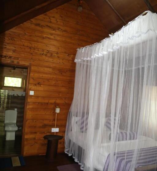 Bed and Breakfast Jungle Face Inn