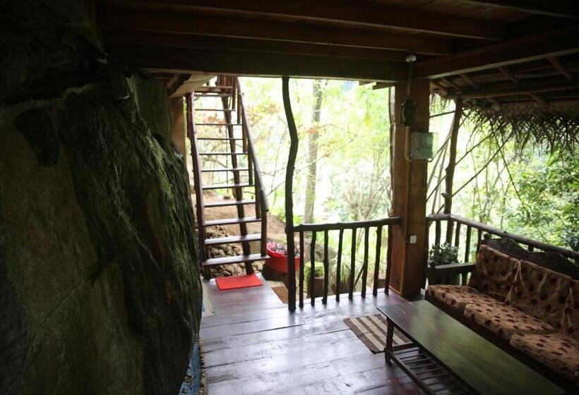 Bed and Breakfast Jungle Face Inn