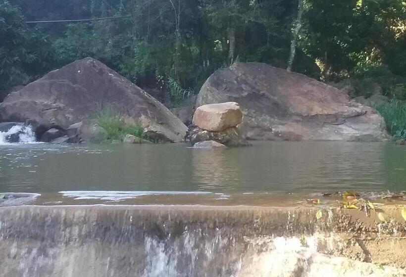 Bed and Breakfast Jungle Face Inn