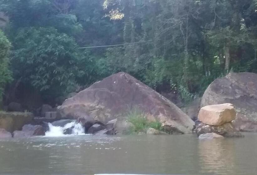 Bed and Breakfast Jungle Face Inn