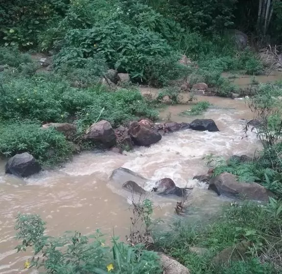 Aamiaismajoitus (B&B) Jungle Face Inn