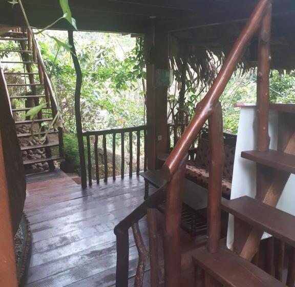 Bed and Breakfast Jungle Face Inn