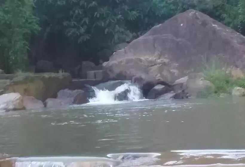 Aamiaismajoitus (B&B) Jungle Face Inn