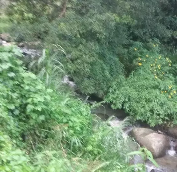 Aamiaismajoitus (B&B) Jungle Face Inn