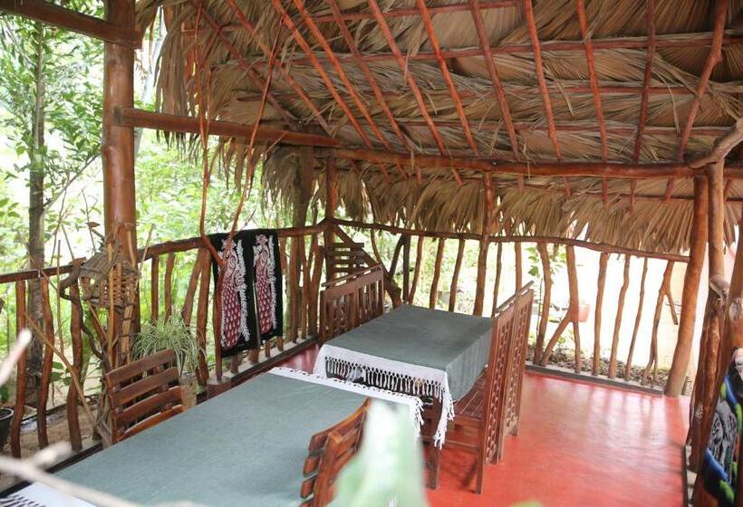 Bed and Breakfast Jungle Face Inn